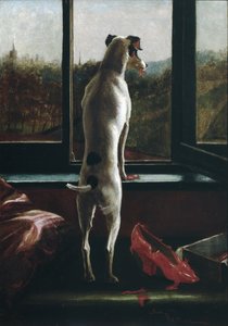 انتظار بواسطة جوليا بريسويل فولكارد